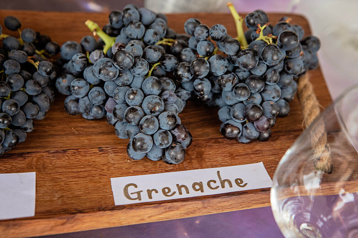 Grenache Grapes