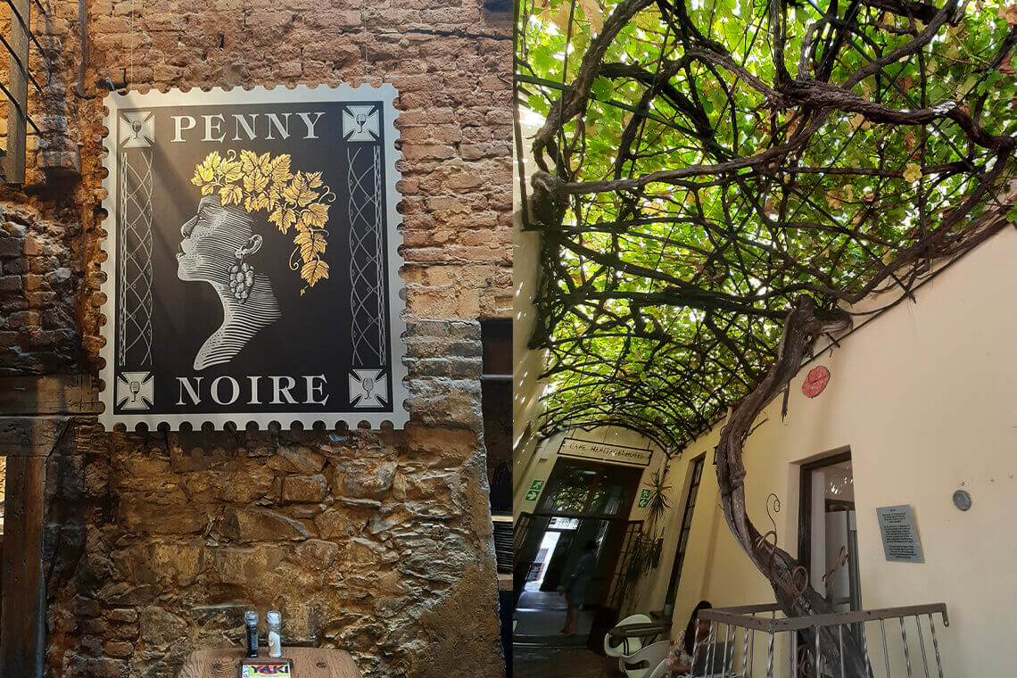 Penny Noire wine bar featuring South Africa's oldest fruit bearing vine