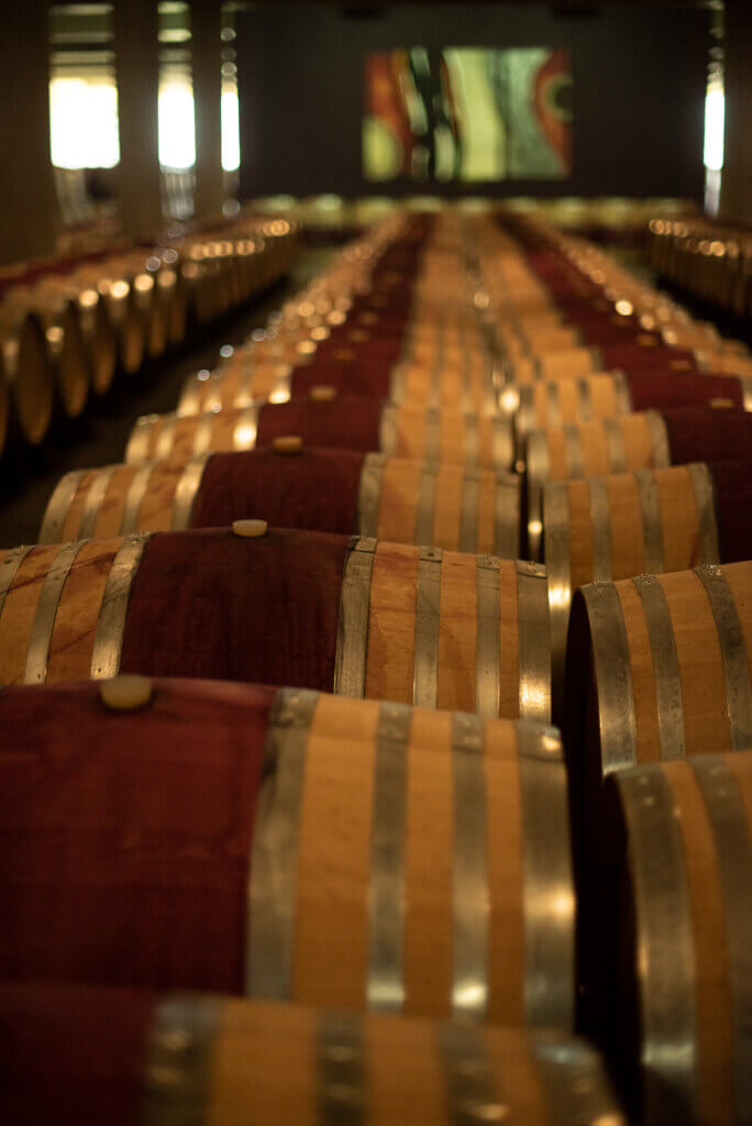glenelly barrels of wine